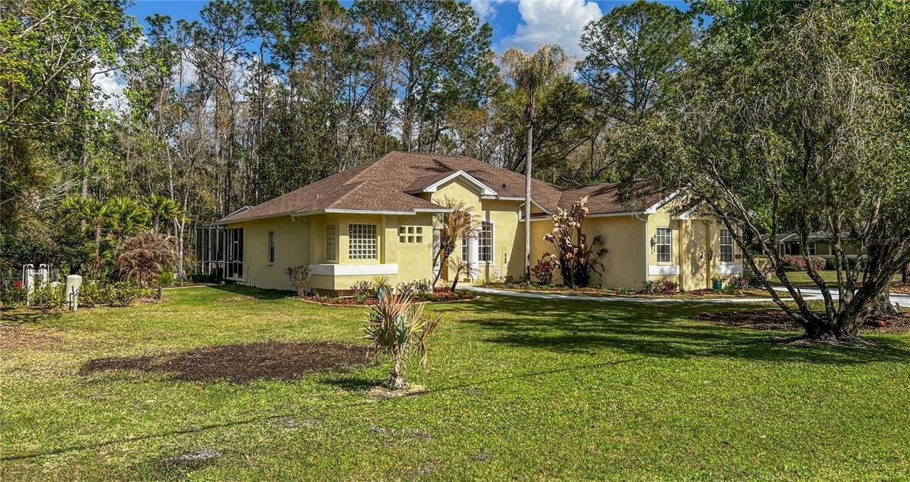 8422 Shenandoah Run, Wesley Chapel, FL 33544 Photo