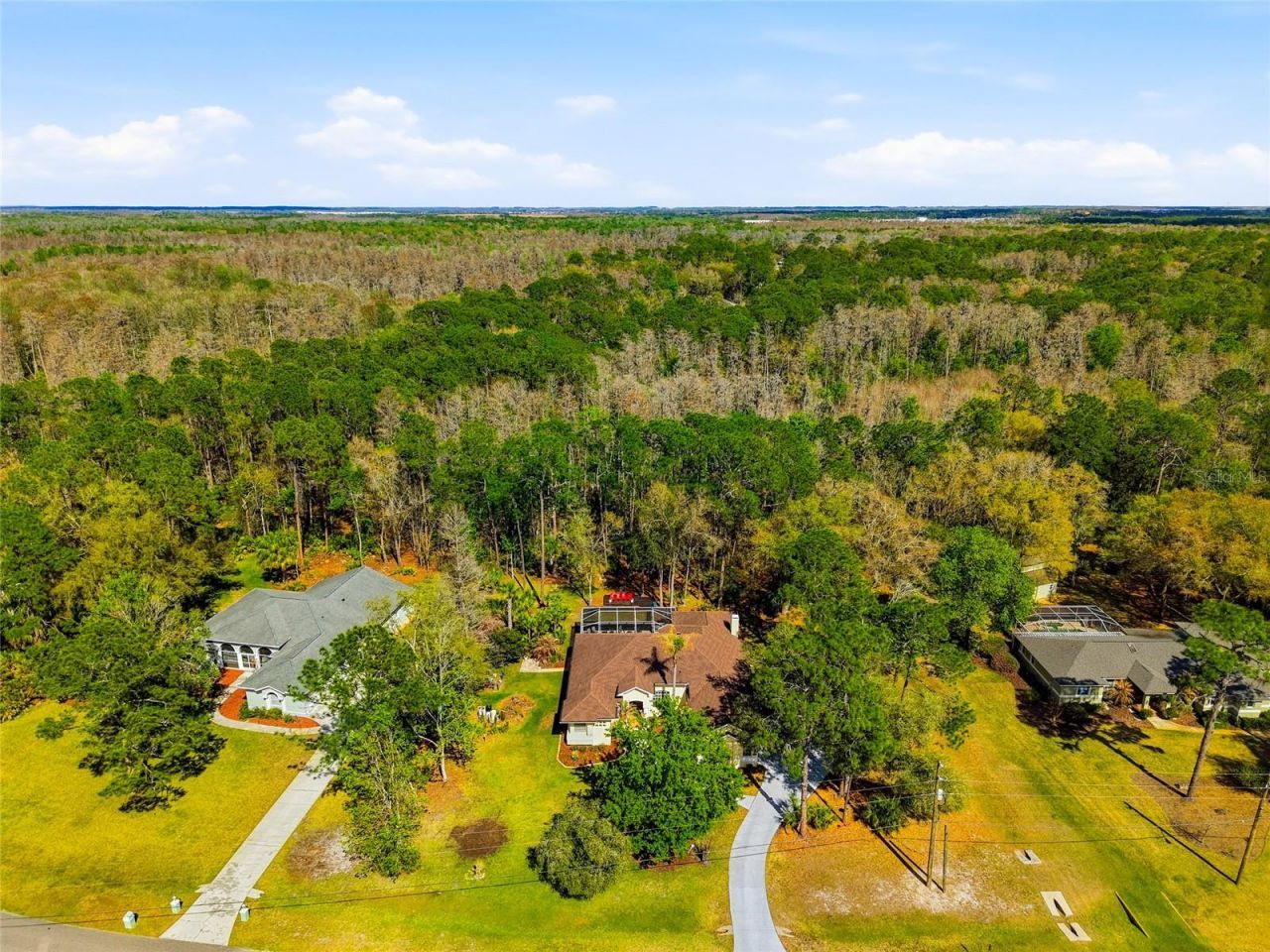 8422 Shenandoah Run, Wesley Chapel, FL 33544 Photo