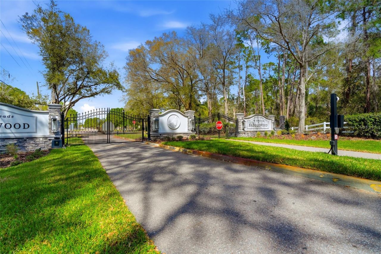 8422 Shenandoah Run, Wesley Chapel, FL 33544 Photo