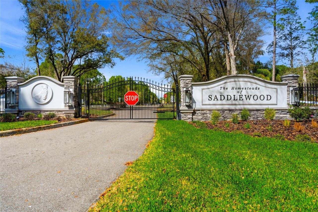 8422 Shenandoah Run, Wesley Chapel, FL 33544 Photo