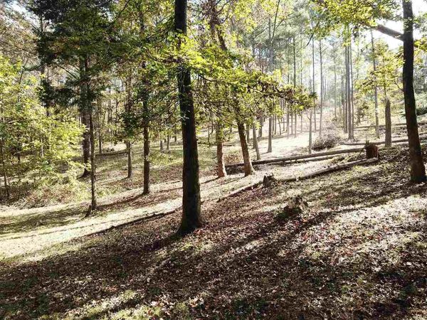 0 Maple Street, Franklin, GA 30217