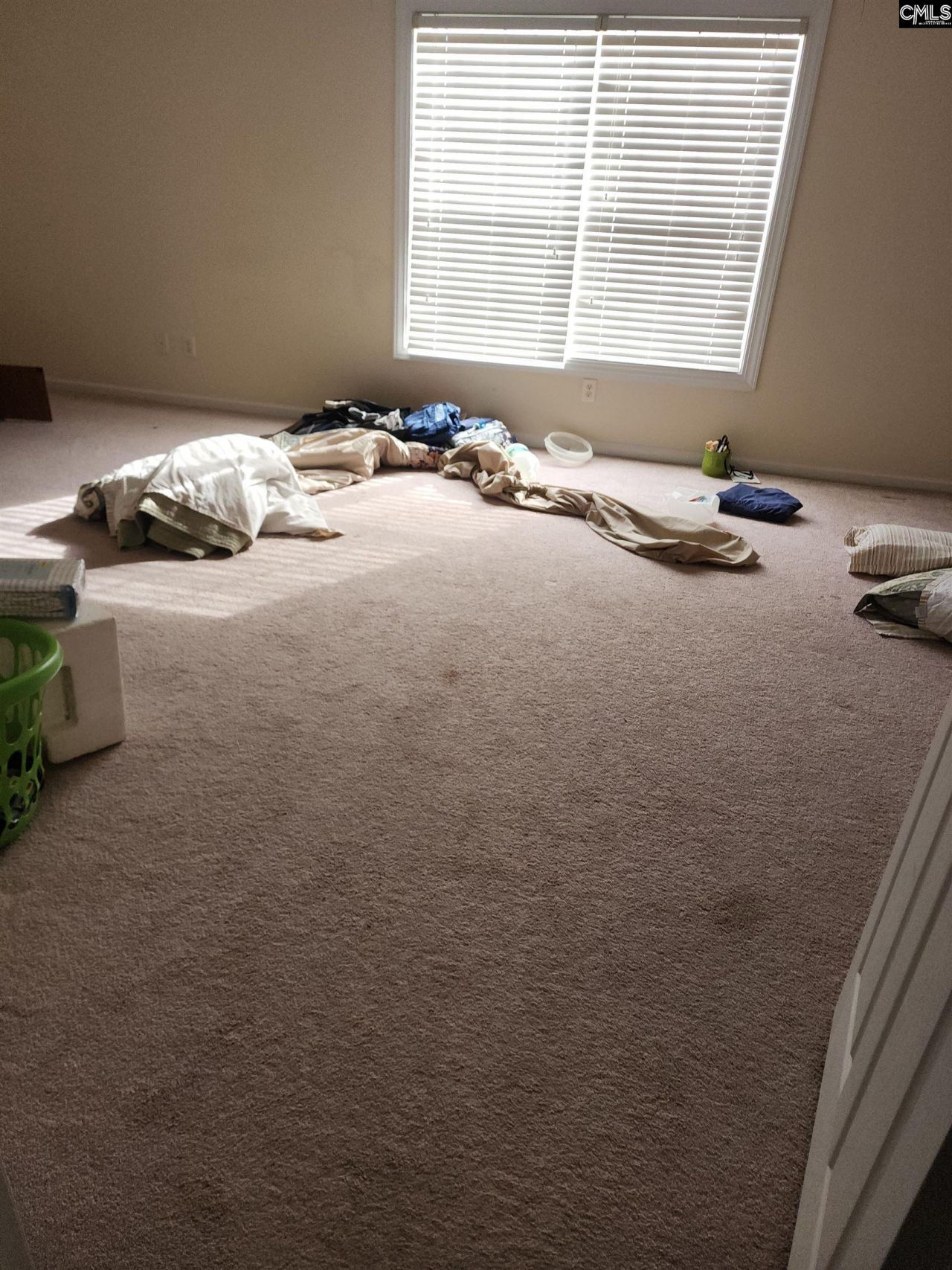 341 Laurel Rise Lane  Photo 9