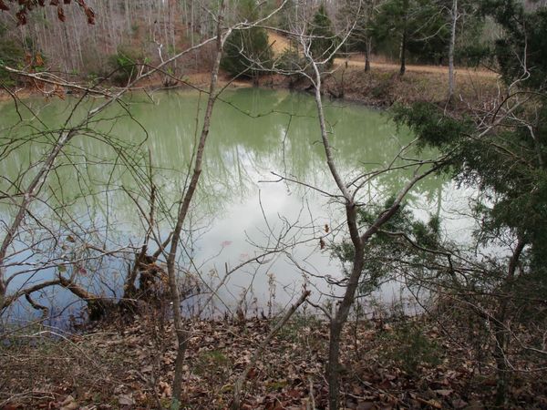 0 Split Lake Drive , Nunnelly, TN 37137