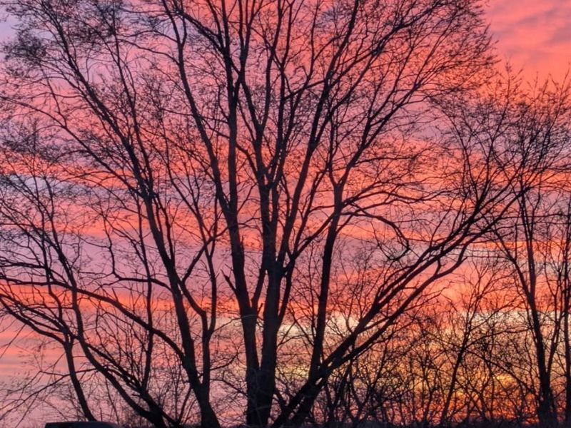 679 Oxford Germantown Road, Somers Twp, OH 45311 Photo 60