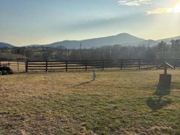 2483 JERICHO ROAD, FLINT HILL, VA 22627