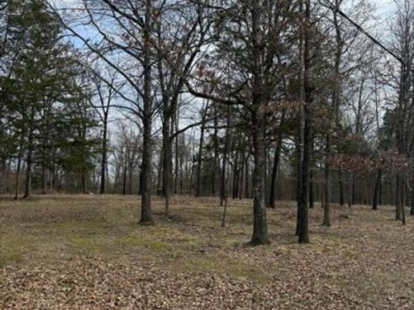 42 Douglas Cove , Lead Hill, AR 72644