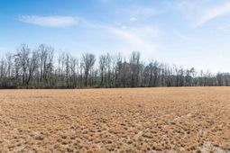 Lot 4 Sheila Dr. photo 4