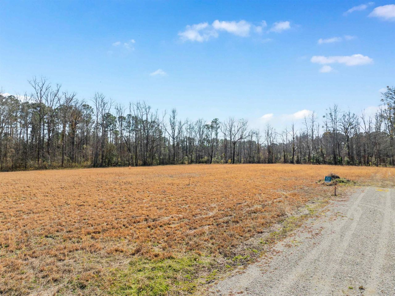 Lot 4 Sheila Dr. Photo 6