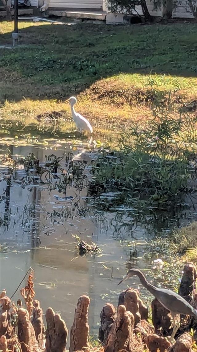 1948 Lake Atriums Circle, Unit 120, Orlando, FL 32839 Photo