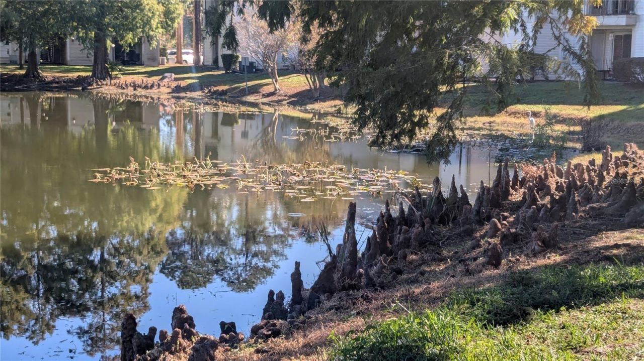 1948 Lake Atriums Circle, Unit 120, Orlando, FL 32839 Photo