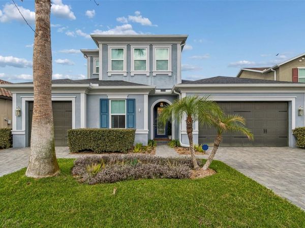 18316 LEAFMORE STREET , LUTZ, FL 33548