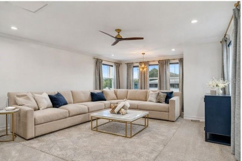 18316 Leafmore Street, Lutz, FL 33548 Photo