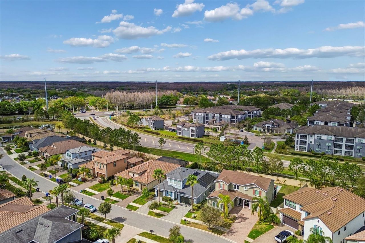 18316 Leafmore Street, Lutz, FL 33548 Photo