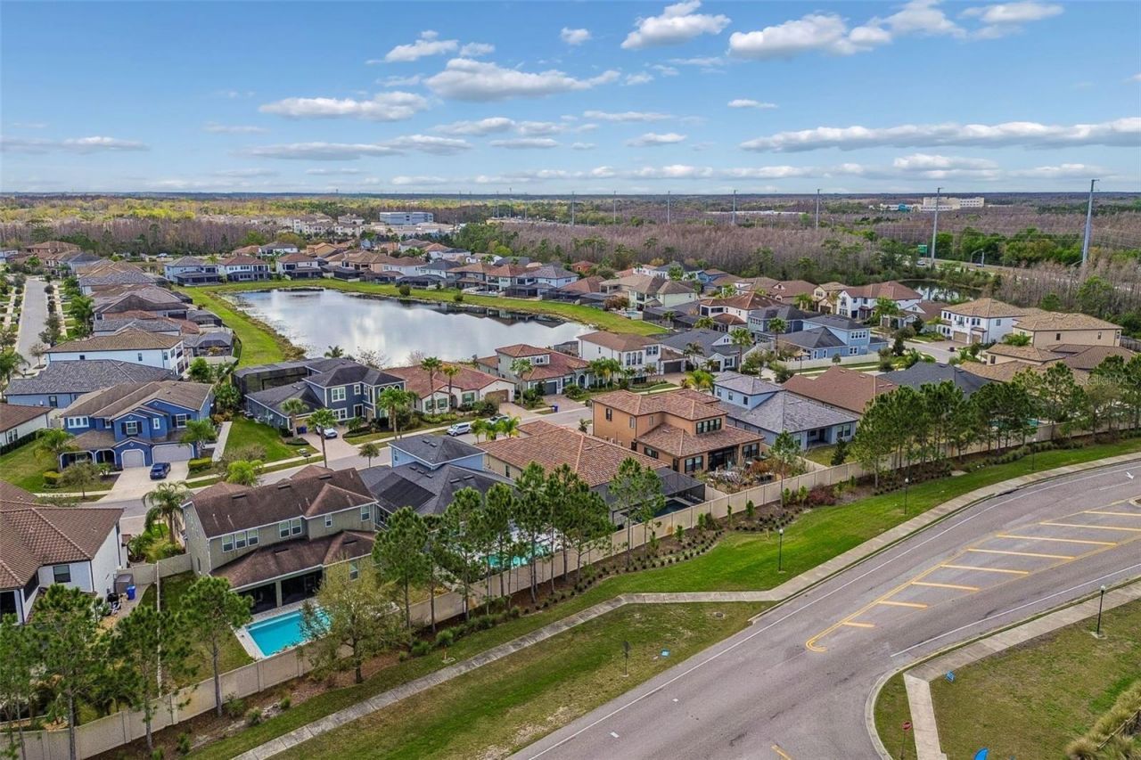 18316 Leafmore Street, Lutz, FL 33548 Photo