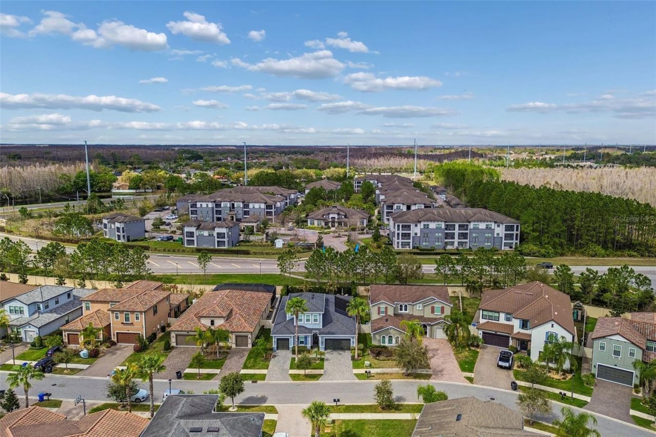 18316 Leafmore Street, Lutz, FL 33548 Photo