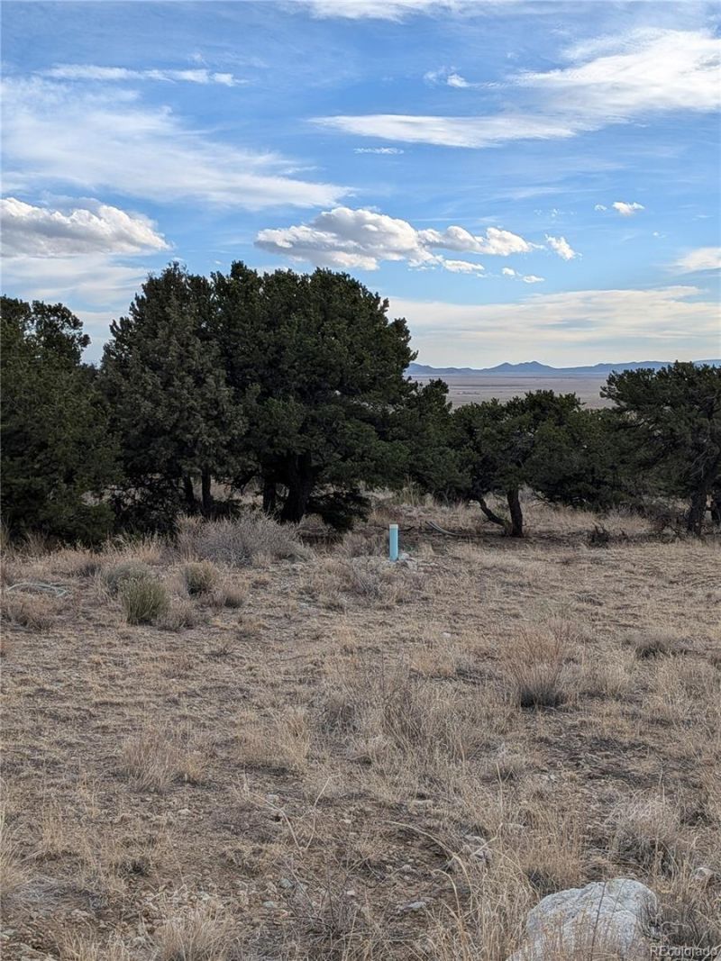 Lot 2 20th Street, Blanca, CO 81123 Main Photo