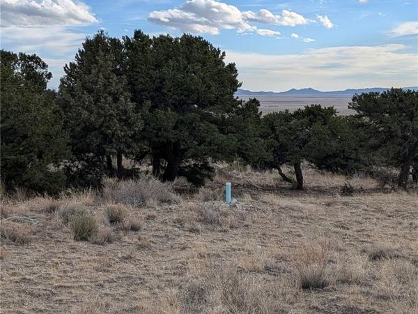 Lot 2 20th Street, Blanca, CO 81123
