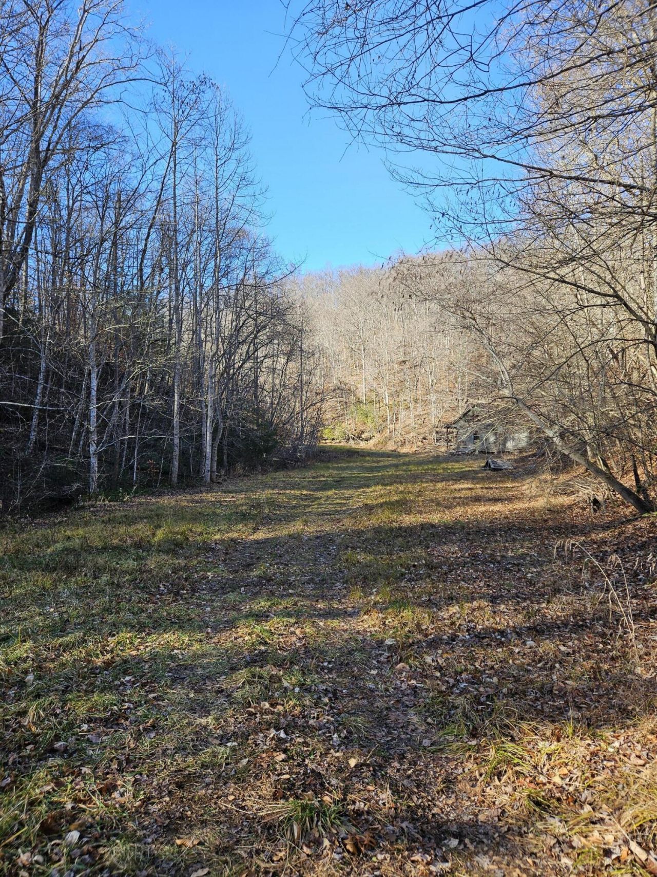 0 Lick Fork Road, Sandy Hook, KY 41171
