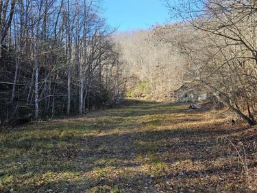 0 Lick Fork Road, Sandy Hook, KY 41171
