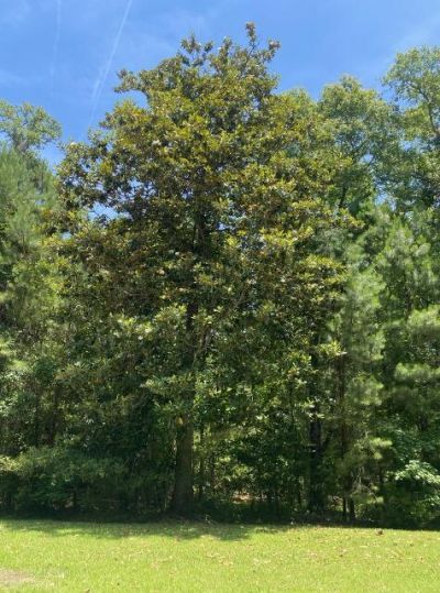 25 Blackbear Road Photo 12