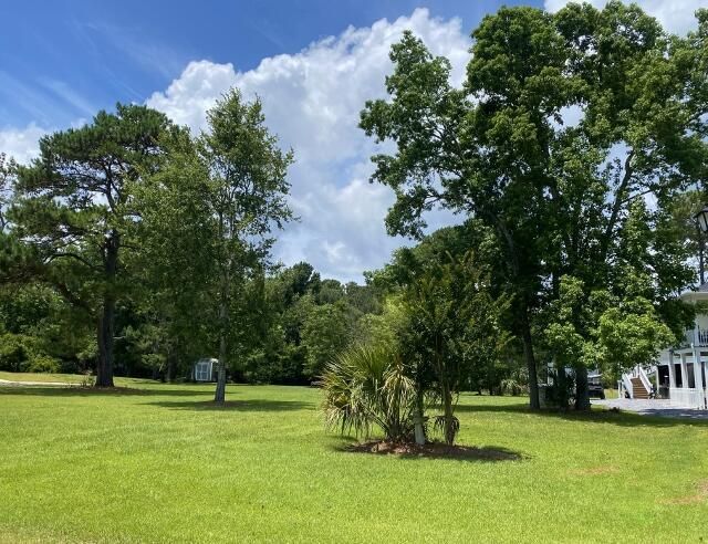 25 Blackbear Road Photo 13