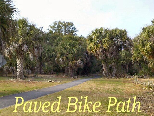 25 Blackbear Road Photo 16