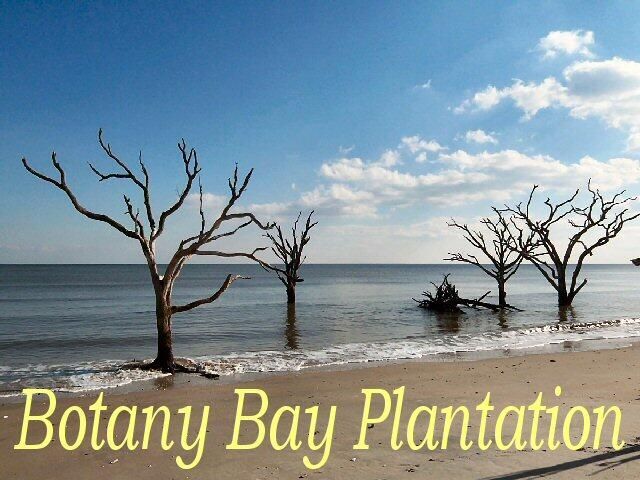 25 Blackbear Road Photo 17