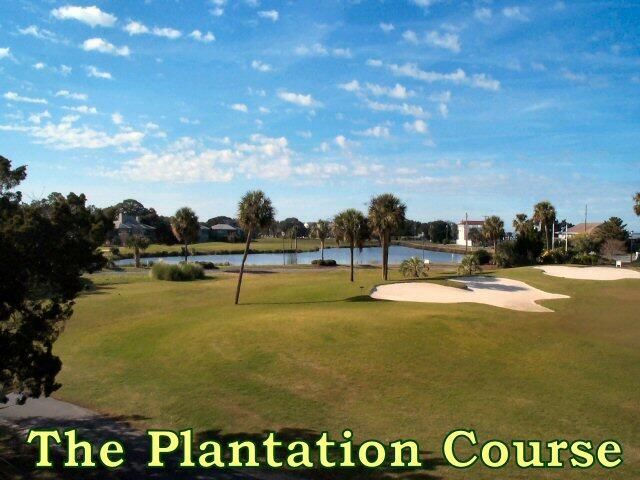 25 Blackbear Road Photo 19