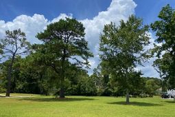 25 Blackbear Road photo 4