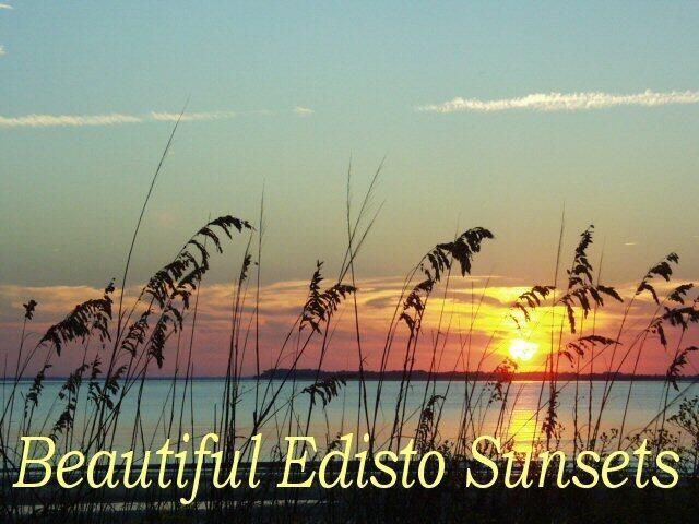 25 Blackbear Road Photo 21