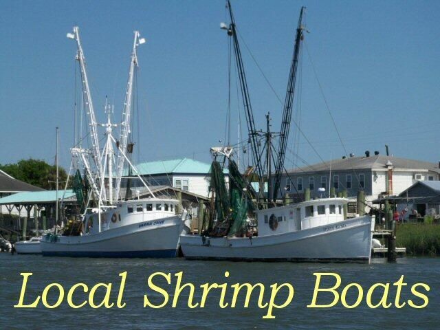 25 Blackbear Road Photo 25