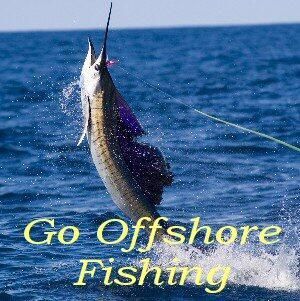 25 Blackbear Road Photo 27