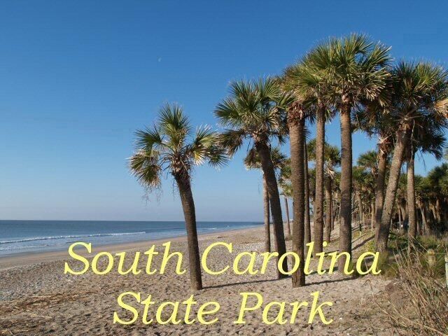 25 Blackbear Road Photo 29