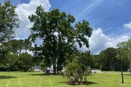 25 Blackbear Road photo 4