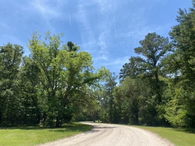 25 Blackbear Road Photo 8