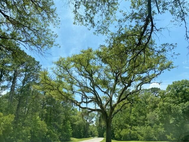 25 Blackbear Road Photo 9