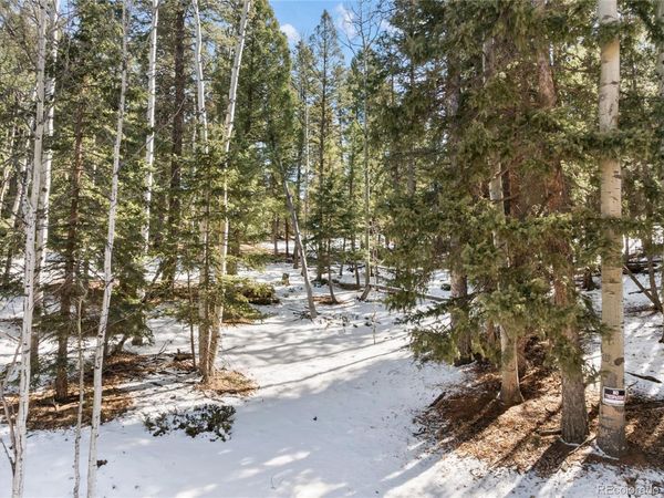 358 Pawutsy Road, Florissant, CO 80816