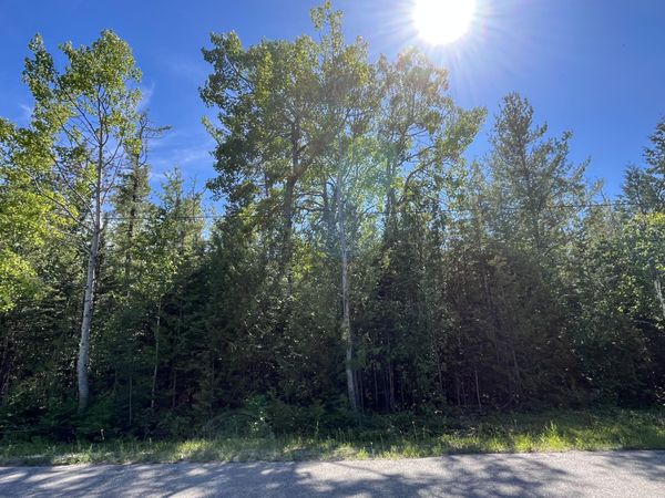 Lots 55-56 Wilderness Circle, Presque Isle, MI 49777