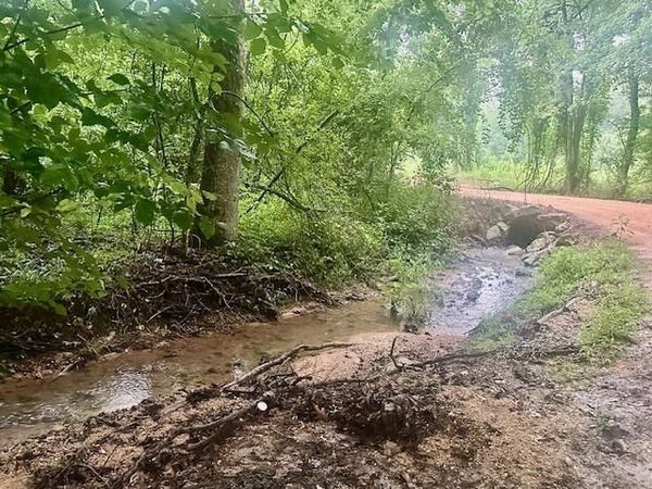 000 FOX LN, Savannah, TN 38372