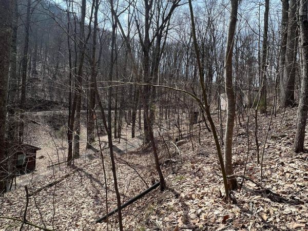 Bluff Mountain Rd, Sevierville, TN 37862
