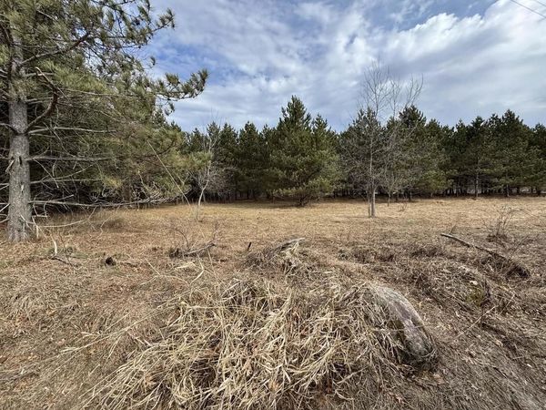 FOUNTAIN GROVE ROAD, Amherst, WI 54406