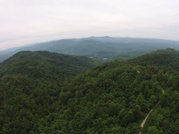 Tract 1 Straight Fork Road, Huntsville, TN 37756