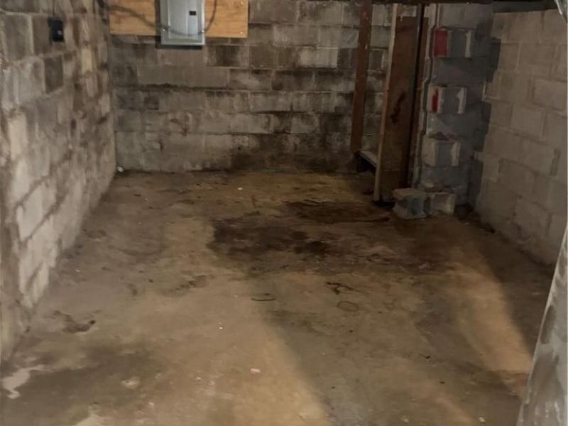 217 S Shaffer Street, Springfield, OH 45506 Photo 13