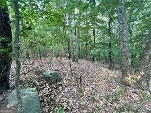 860 Cloudland Trace, Chickamauga, GA 30707