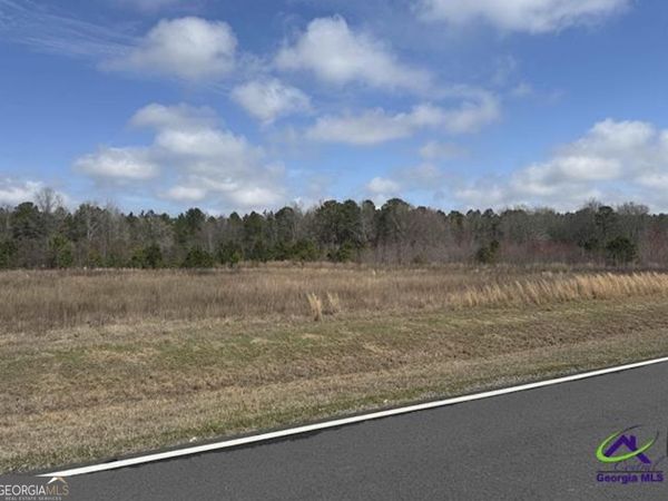 0 Whitfield Road, Elko, GA 31025