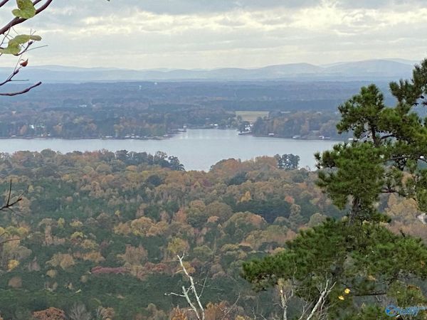 83 Cruickshank Lane, Leesburg, AL 35983