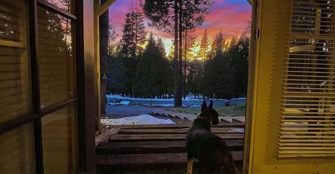 6867 Almanor Lake Estates Drive, Lake Almanor, CA 96137 Photo