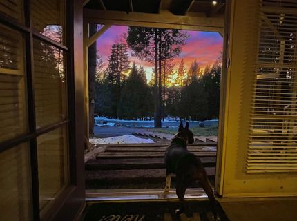 6867 Almanor Lake Estates Drive, Lake Almanor, CA 96137 Photo