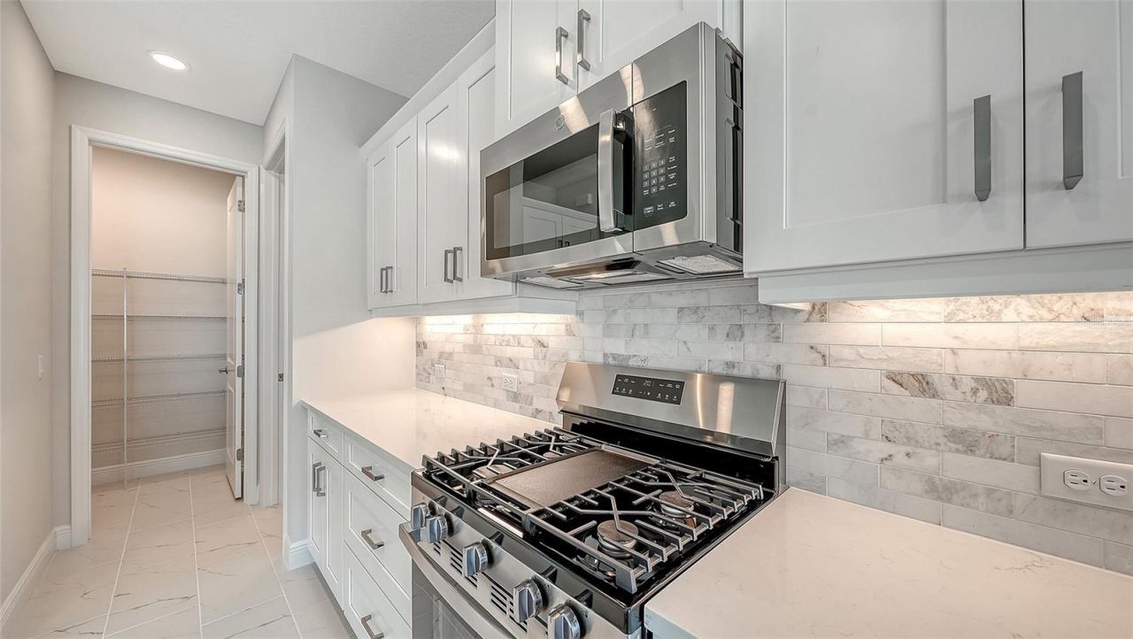 4411 Spoon Blade Drive, Parrish, FL 34219 Photo