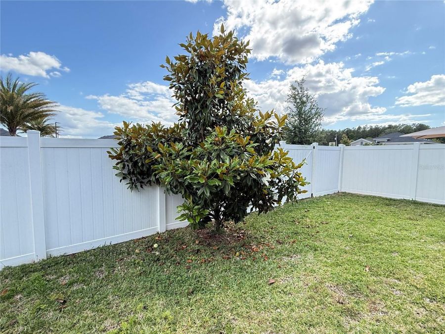Property Image 85